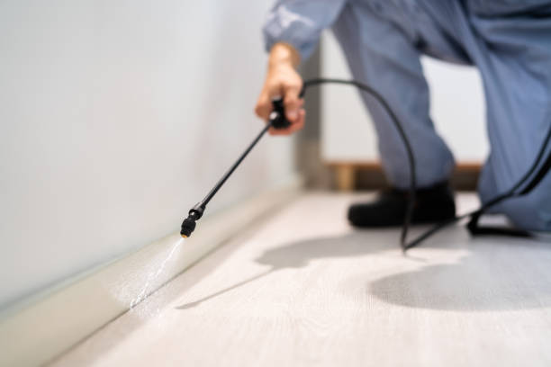 Professional exterminator conducting IPM assessment in East Wenatchee