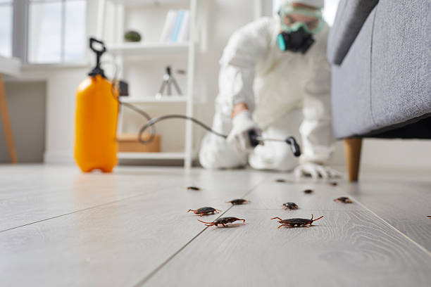 Commercial Kitchen Cockroach Control in East Wenatchee